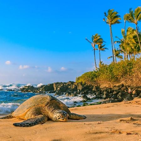 Hawaiian Monarch 801 Condo هونولولو المظهر الخارجي الصورة